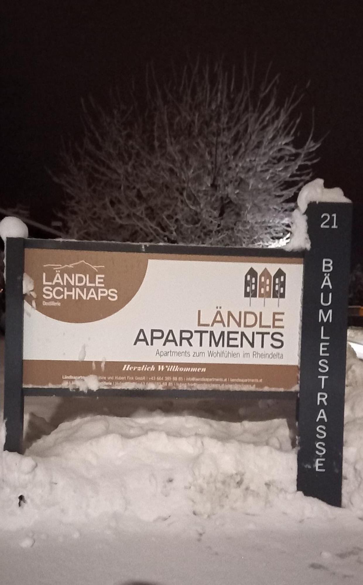 Laendleapartments Höchst Exterior foto